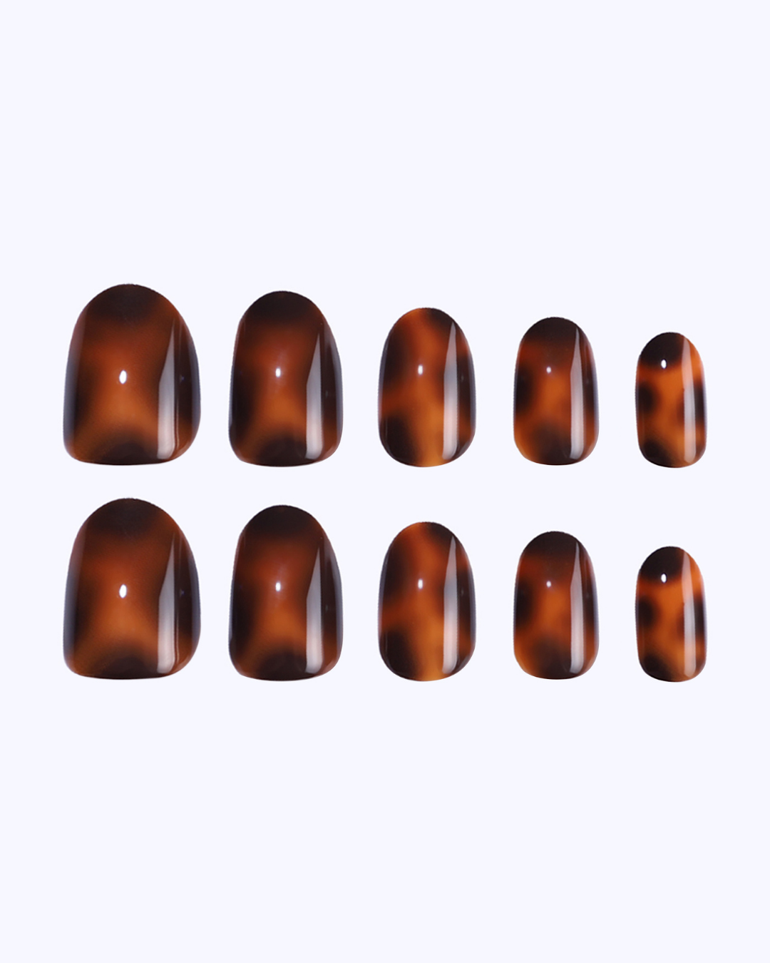 Drop Dead Tortoise Press On Nails (24PC)
