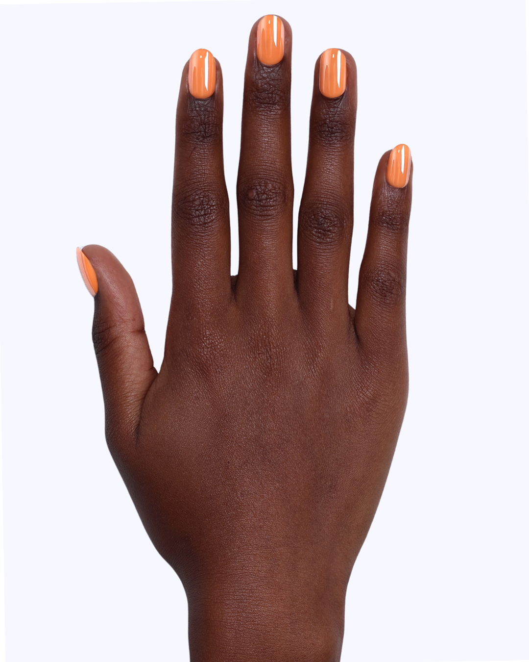 Aperol Is Said And Done Press On Nails (24PC)