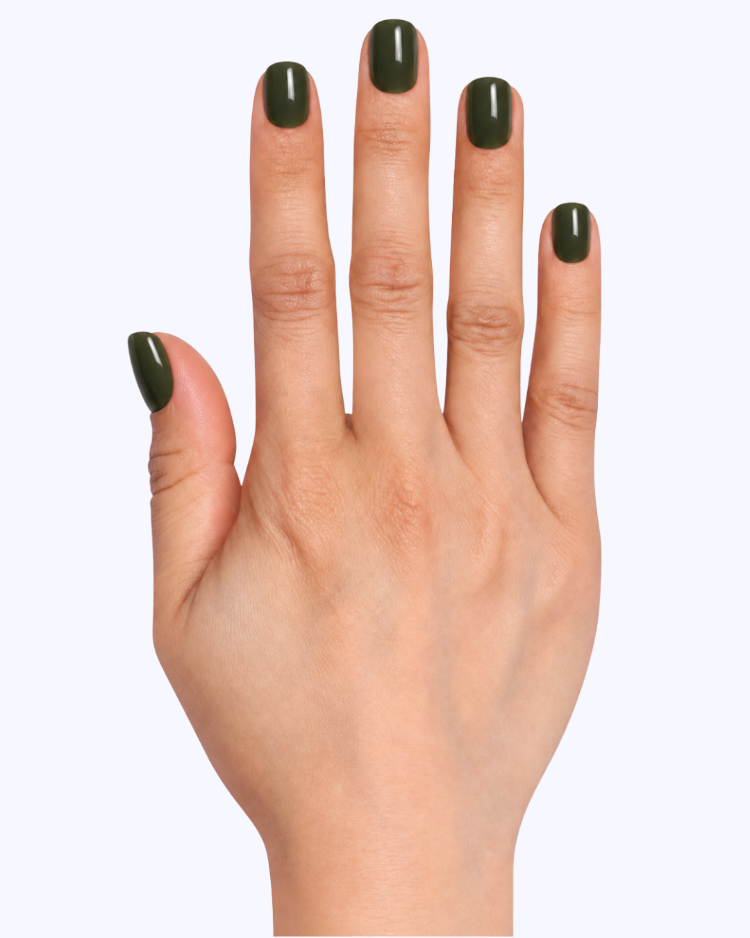 Olive Night Long Press-On Nails (24PC)