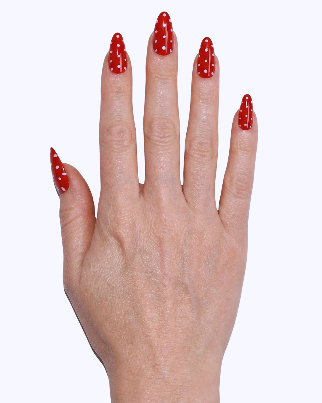 Red All About It Bundle